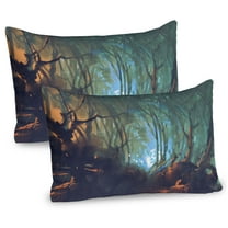Ambesonne Teal Pillow Sham 2 Pack, Dark Forest, 26"x20", Brown Teal