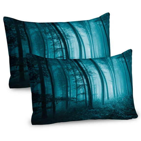 Ambesonne Teal Pillow Sham 2 Pack, Foggy Dark Country Forest, 36"x20", Teal