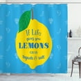 thumbnail image 1 of Ambesonne Tequila Shower Curtain, Mexican Words on Lemon, 69"Wx70"L, Sky Blue Mustard, 1 of 3