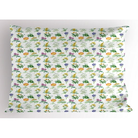 Ambesonne Thistle Pillow Sham, Organic Herbs Sketch, 26" X 20", Multicolor