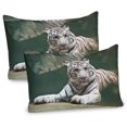 thumbnail image 1 of Ambesonne Tiger Pillow Sham 2 Pack, White Tiger Swimming Fun, 26"x20", Teal White, 1 of 3