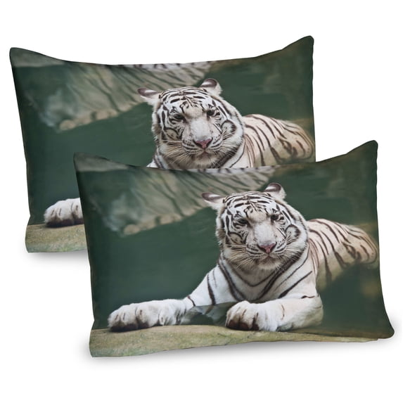 Ambesonne Tiger Pillow Sham 2 Pack, White Tiger Swimming Fun, 26"x20", Teal White