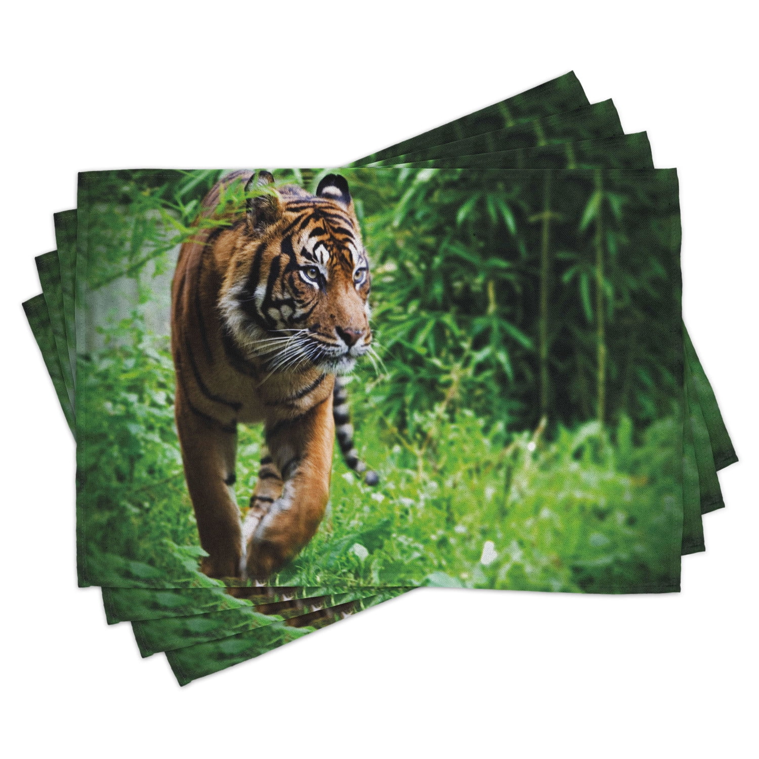 Habitat Placemats