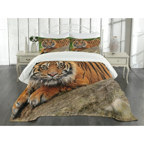 Ambesonne Tiger Quilted Bedspread Set 3 Pcs, Tiger Crouching on Rock, Queen Size, Multicolor