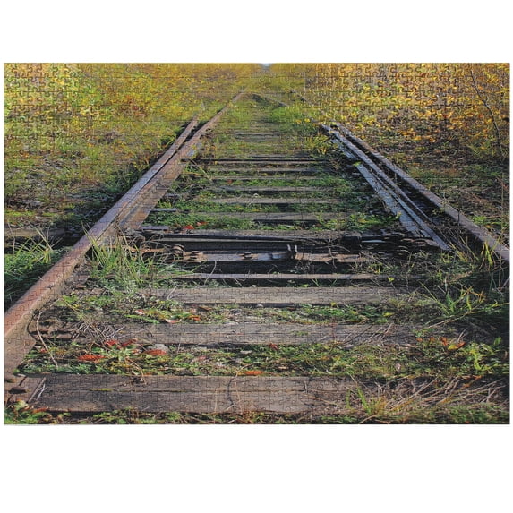 Ambesonne Train Track Jigsaw Puzzle Durable Cardboard, Rustic Abounded Railway, 1000 pcs, Multicolor