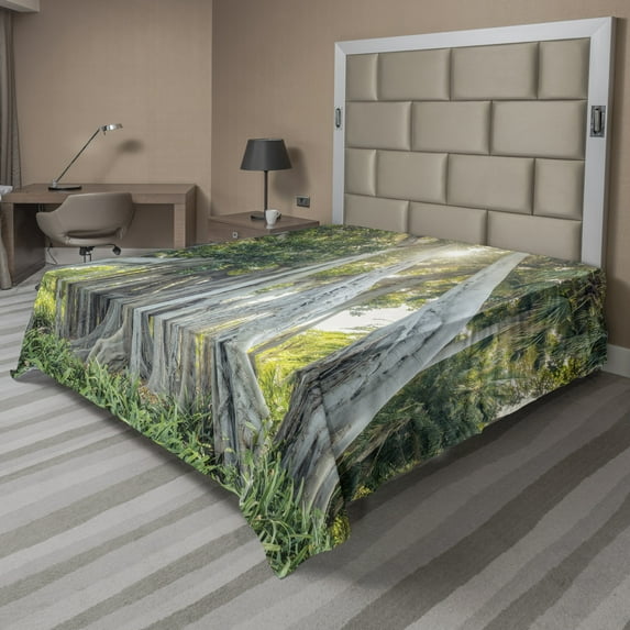 Ambesonne Tree Flat Sheet, Giant Ficus Trunk Sunbeams, Full Size, Hunter Green Pale Grey