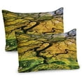 thumbnail image 1 of Ambesonne Tree Pillow Sham 2 Pack, Large Maple with River, 36"x20", Green Yellow, 1 of 3