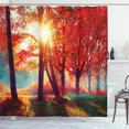 thumbnail image 1 of Ambesonne Tree Shower Curtain, Foggy Autumnal Park Scenic, 69"Wx84"L, Orange Yellow Teal, 1 of 3