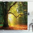 thumbnail image 1 of Ambesonne Tree Shower Curtain, Oak Autumn Leaves, 69"Wx84"L, Orange Green Brown, 1 of 5