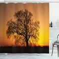 thumbnail image 1 of Ambesonne Tree Shower Curtain, Old Oak at Sunset View, 69"Wx84"L, Orange Brown, 1 of 5