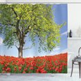 thumbnail image 1 of Ambesonne Tree Shower Curtain, Spring Scenery Flowers, 69"Wx70"L, Green Red Blue, 1 of 5