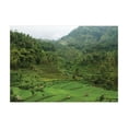 thumbnail image 1 of Ambesonne Tropical Jigsaw Puzzle Durable Cardboard, Rice Paddies, 1000 pcs, Green, 1 of 6