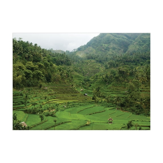 Ambesonne Tropical Jigsaw Puzzle Durable Cardboard, Rice Paddies, 1000 pcs, Green