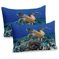 thumbnail image 1 of Ambesonne Turtle Pillow Sham 2 Pack, Cheloniidae Deep Ocean, 36"x20", Violet Blue Pale Brown, 1 of 3