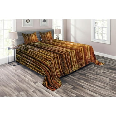 Ambesonne USA Quilted Coverlet 3 Pcs, Redwoods Forestry, King Size, Orange Dark Brown Green