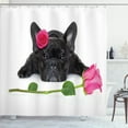 thumbnail image 1 of Ambesonne Valentines Day Shower Curtain, Bulldog with Roses, 69"Wx70"L, Pink and Charcoal Grey, 1 of 4
