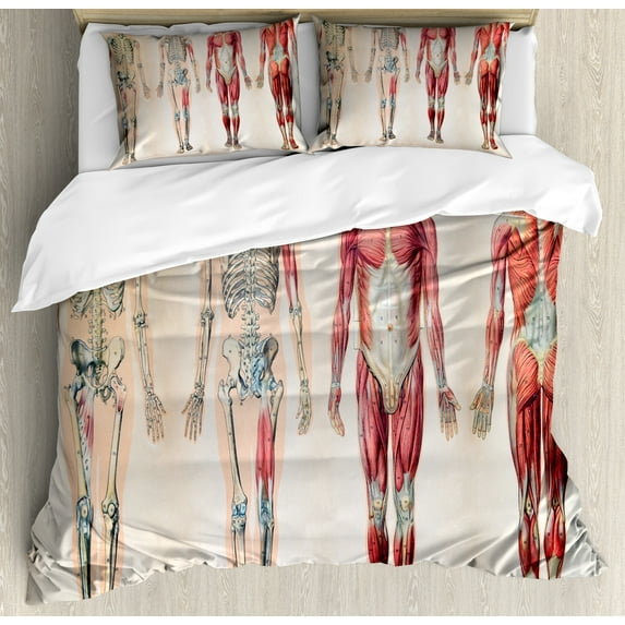 Ambesonne Vintage Duvet Cover Set, Anatomy Human Body, Queen, Ruby Cream