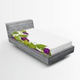 thumbnail image 1 of Ambesonne Vintage Fitted Sheet, Italian Latin, Twin XL Size, Violet Green, 1 of 2