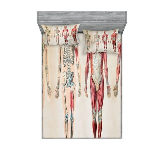 Ambesonne Vintage Fitted Sheet & Pillow Sham Set, Anatomy Human Body, Full, Ruby Cream