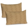 thumbnail image 1 of Ambesonne Vintage Pillow Sham 2 Pack, Curvy Leaves Daisies, 26"x20", Caramel and Tan, 1 of 3