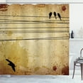 thumbnail image 1 of Ambesonne Vintage Shower Curtain, Birds on Cable Grunge, 69"Wx70"L, Mustard, 1 of 5