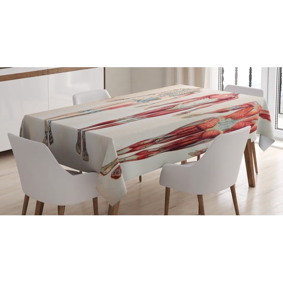 Ambesonne Vintage Tablecloth Rectangular Table Cover, Anatomy Human Body, 52"x70", Ruby Cream