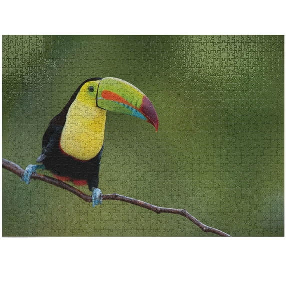 Ambesonne Wildlife Jigsaw Puzzle Durable Cardboard, Keel Billed Toucan, 1000 pcs, Multicolor