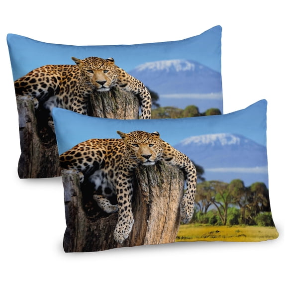 Ambesonne Wildlife Pillow Sham 2 Pack, Leopard on a Tree, 26"x20", Tan Blue
