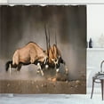 thumbnail image 1 of Ambesonne Wildlife Shower Curtain, Savage Savannah Animal, 69"Wx75"L, Brown and Tan, 1 of 5