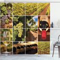 thumbnail image 1 of Ambesonne Wine Shower Curtain, Vineyard Grapes Landscapes, 69"Wx84"L, Green Red Brown, 1 of 5