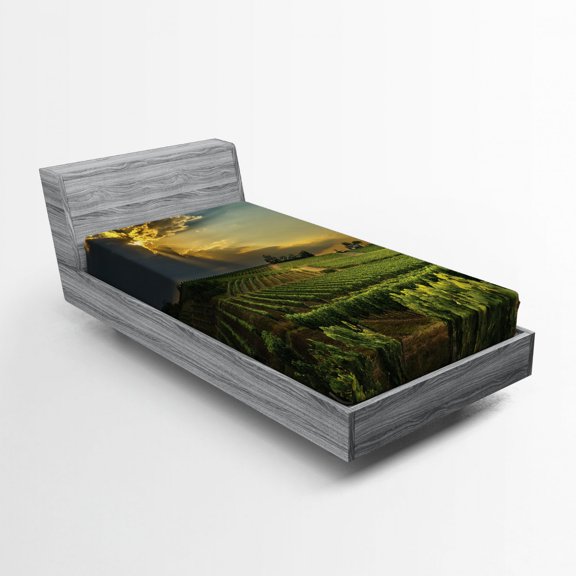 Ambesonne Winery Fitted Sheet, France Sunset Vineyard, Twin XL Size, Green Yellow Grey