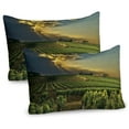 thumbnail image 1 of Ambesonne Winery Pillow Sham 2 Pack, France Sunset Vineyard, 30"x20", Green Yellow Grey, 1 of 3