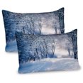 thumbnail image 1 of Ambesonne Winter Pillow Sham 2 Pack, Alley in Snowy Forest, 30"x20", Blue Black White, 1 of 3