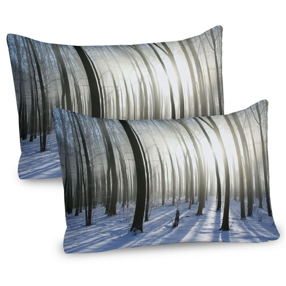 Ambesonne Winter Pillow Sham 2 Pack, Forest December Morning, 30"x20", Pale Yellow Bluegrey