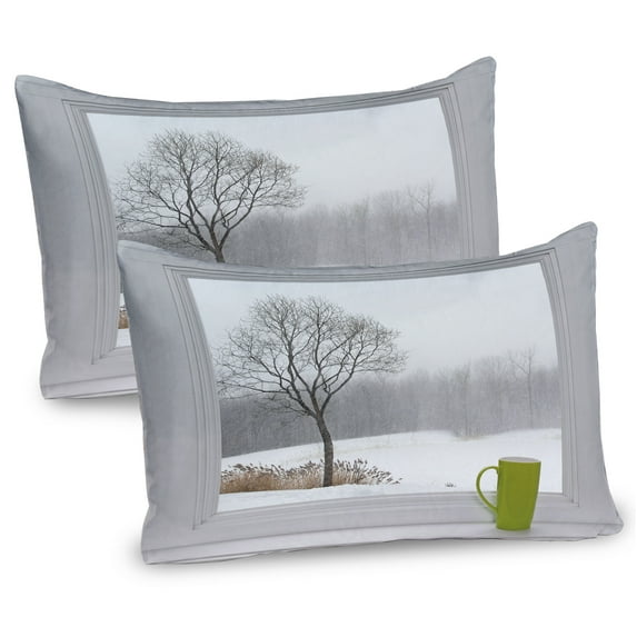 Ambesonne Winter Pillow Sham 2 Pack, Green Teacup and Window, 30"x20", Apple Green Beige White