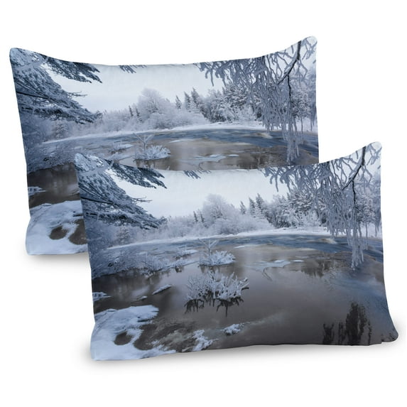 Ambesonne Winter Pillow Sham 2 Pack, Nordic Snow Nature Icy, 30"x20", White Dark Taupe