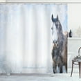 thumbnail image 1 of Ambesonne Winter Shower Curtain, Grey Horse Snow Scenery, 69"Wx70"L, White Brown, 1 of 5