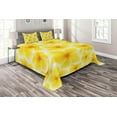 thumbnail image 1 of Ambesonne Yellow Quilted Coverlet 3 Pcs, Plumeria Flower Blossoms, Queen Size, Yellow and White, 1 of 2