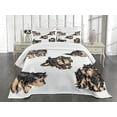 thumbnail image 1 of Ambesonne Yorkie Quilted Bedspread Set 3 Pcs, Terrier Cartoon, Queen Size, Pale Coffee Black, 1 of 5