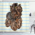 thumbnail image 1 of Ambesonne Yorkie Shower Curtain, Hair Buckle on Chevron, 69"Wx70"L, Chestnut Brown, 1 of 3