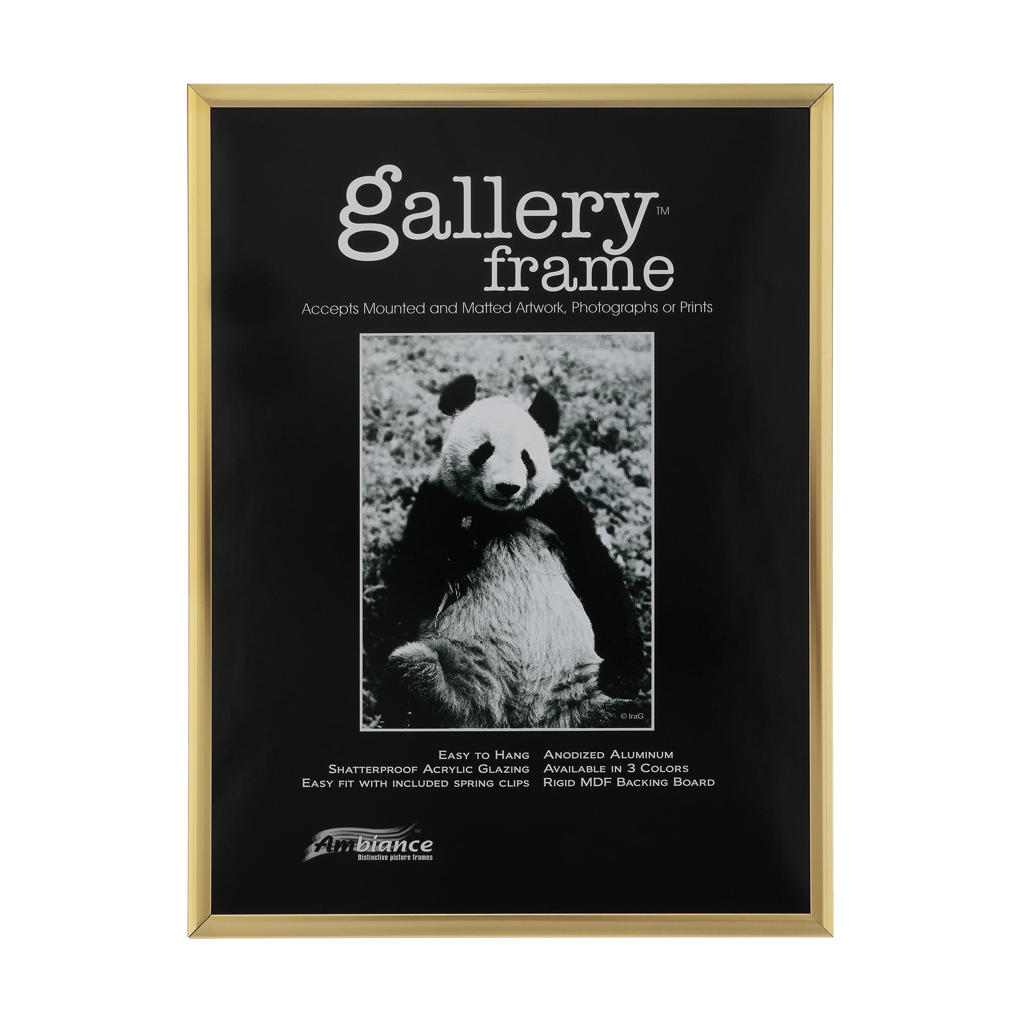 Anodized Aluminum Poster Frame