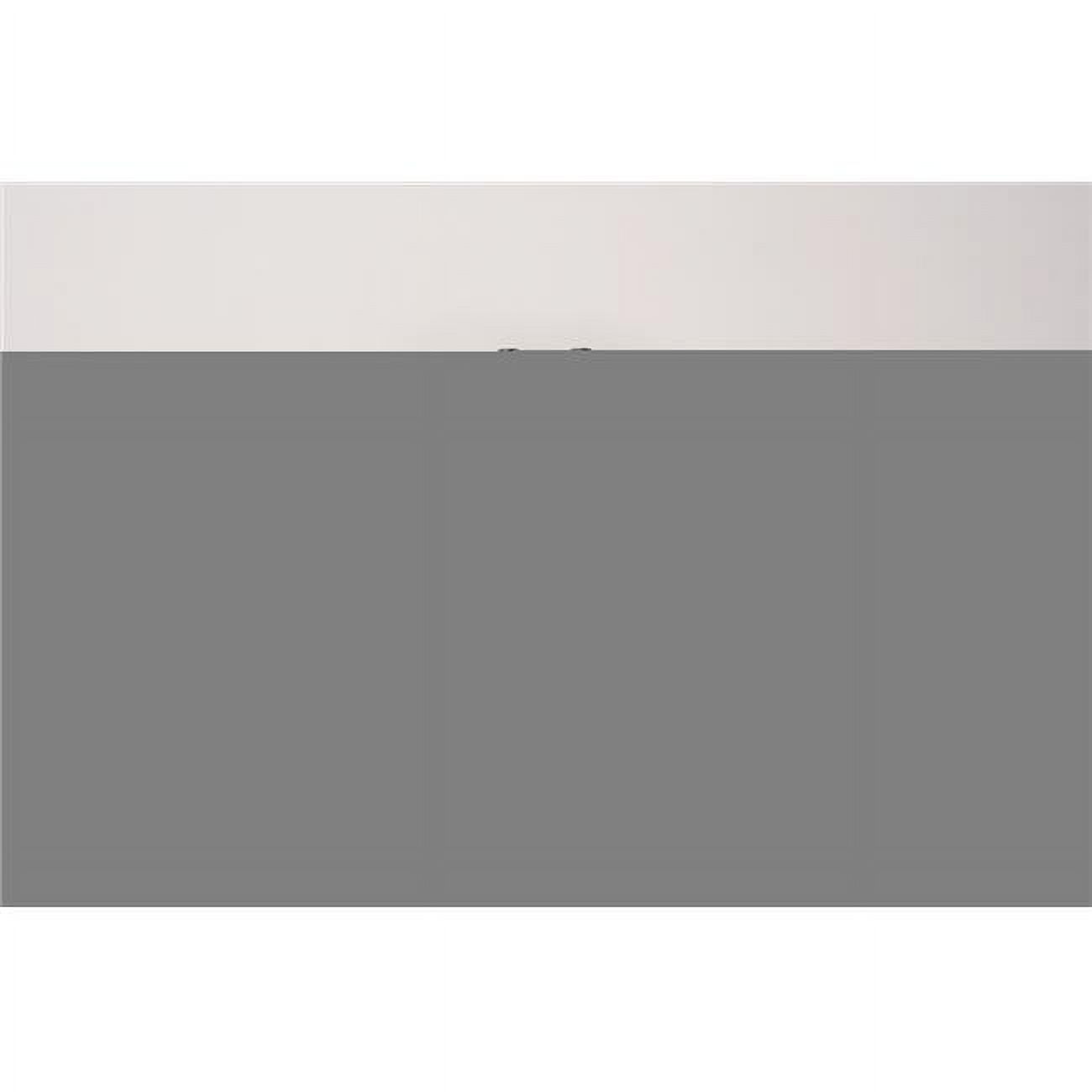 Ambience Companion Reverb & Delay Pedal