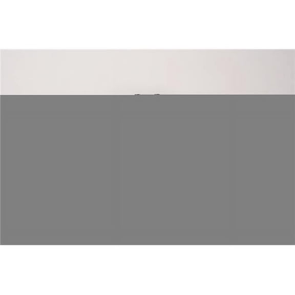 Ambience Companion Reverb & Delay Pedal