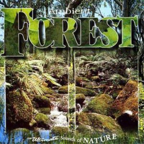 Ambient Forest (CD) Album