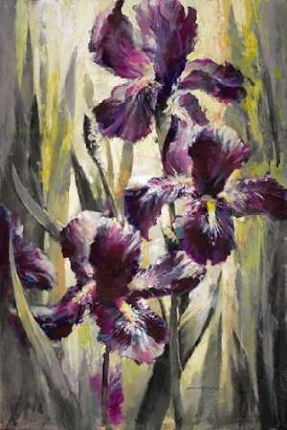 Ambient Iris 1 Canvas Art - Brent Heighton (20 x 28)