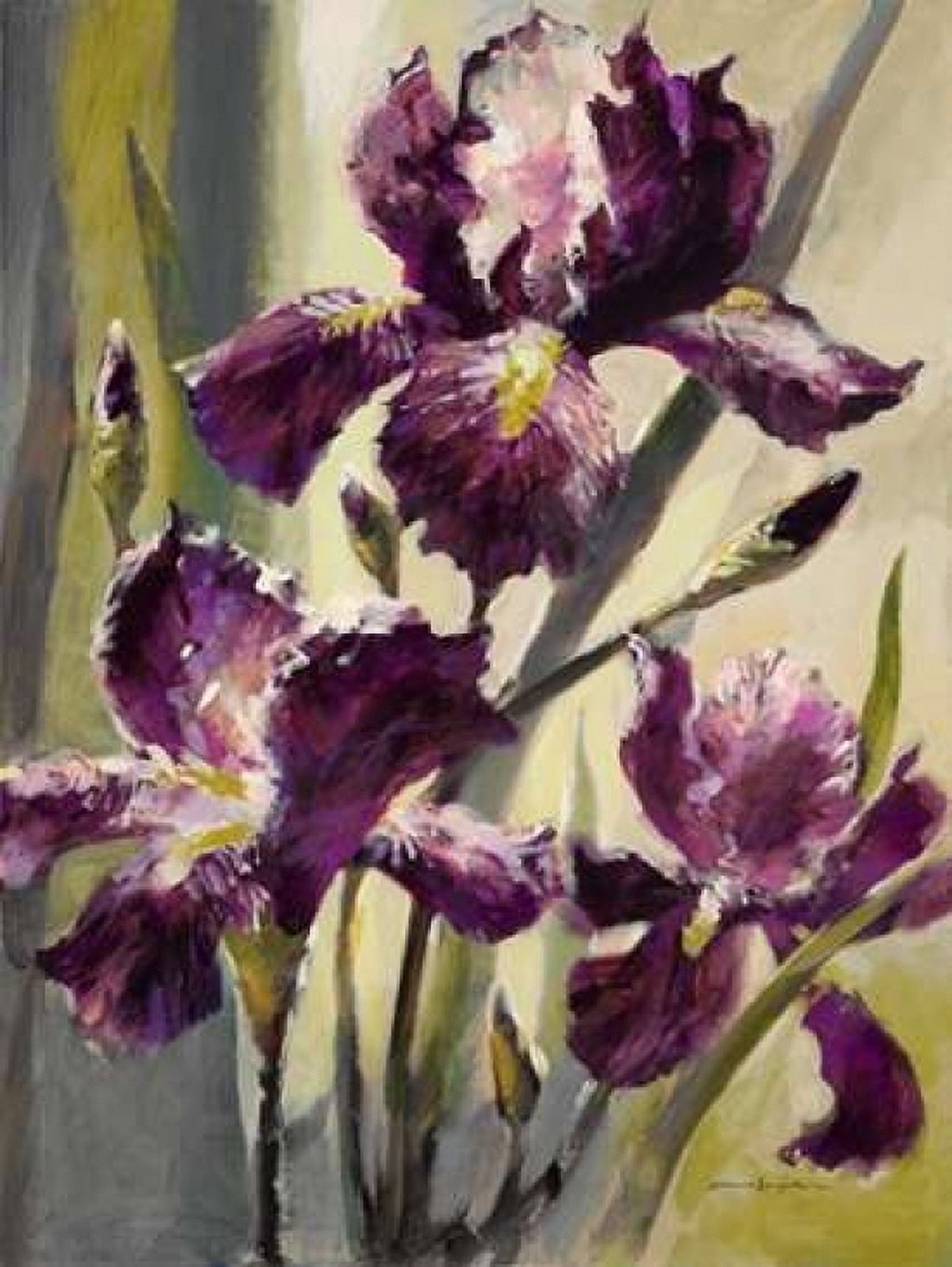 Ambient Iris 3 Canvas Art - Brent Heighton (18 x 24)