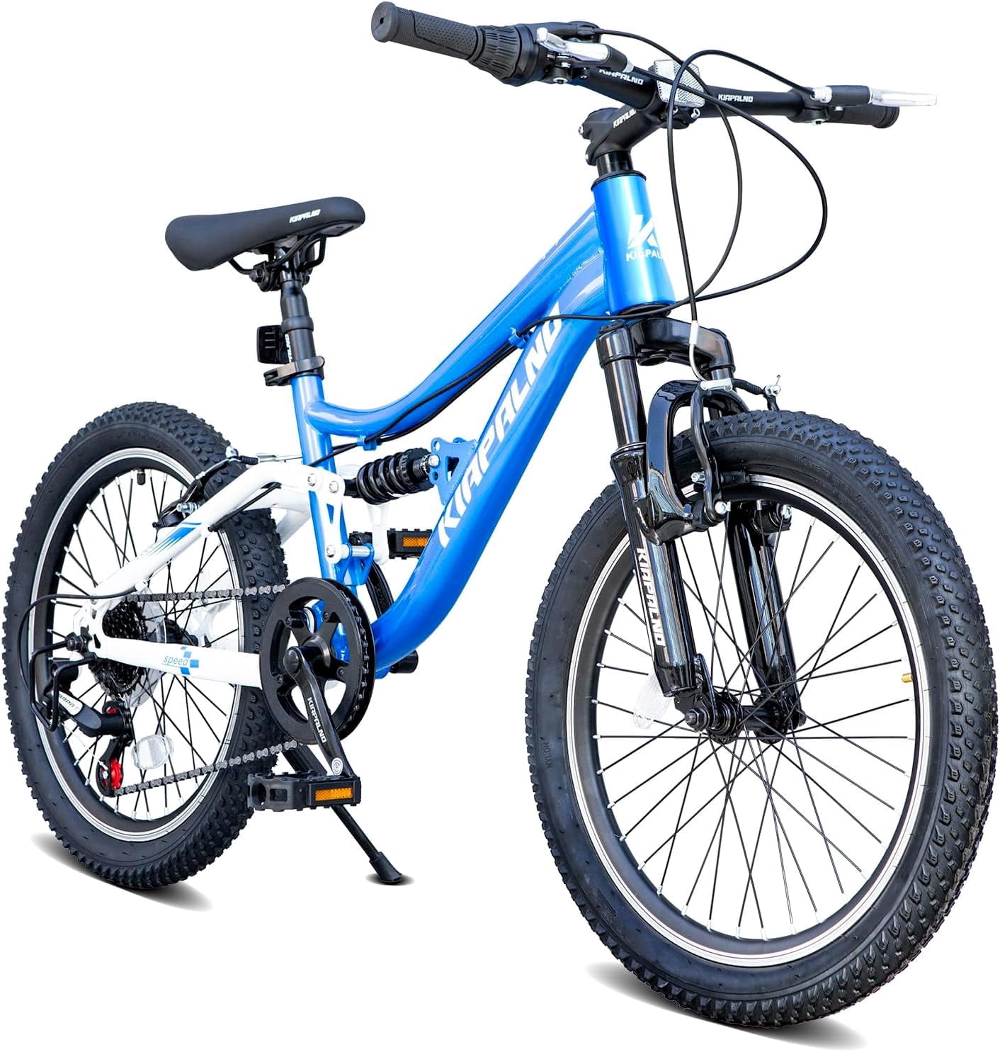 Ambifirner 20 Inch Bike with Training Wheels Single Speed, Adjustable Seat for Growing Riders, Dual Coaster & V-Brakes, Full Chain Guard, Easy Assembly (Black)