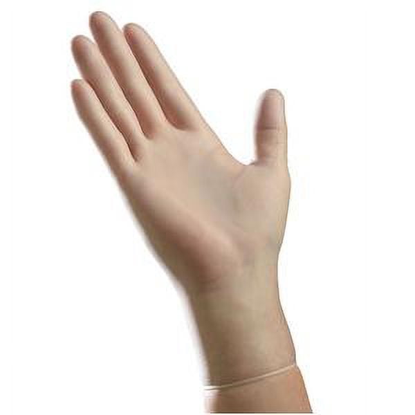 Ambitex PowderFree Vinyl Exam Gloves, Large, Clear, Box Of 100