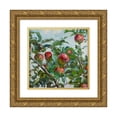 thumbnail image 1 of Ambroży Sabatowski 15x15 Gold Ornate Wood Frame and Double Matted Museum Art Print Titled - Apples (1917), 1 of 4