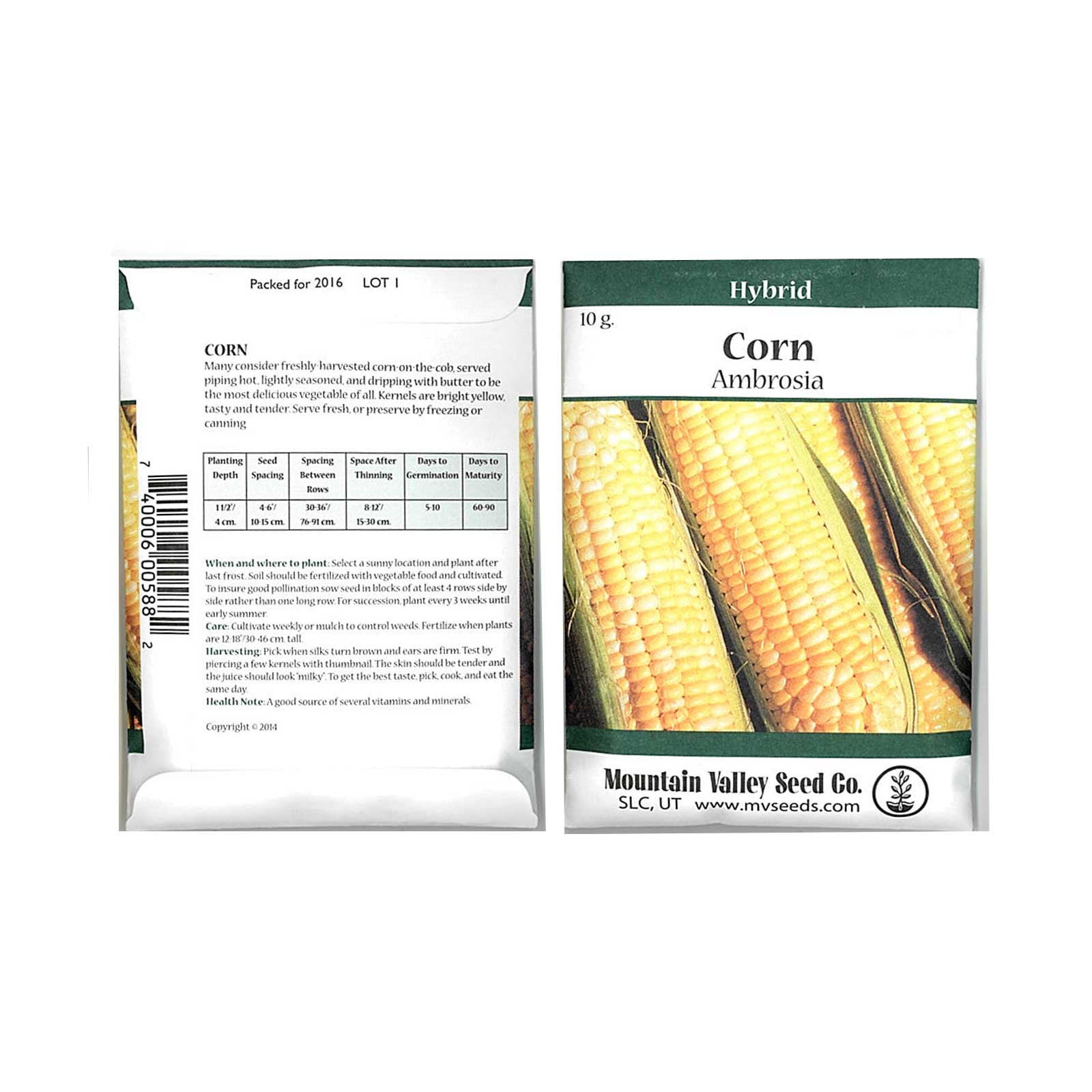 Ambrosia Hybrid Corn Garden Seeds 10 Gram Packet NonGMO, BiColor
